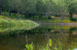 Private 8.5-Hectare Alentejo Retreat – Ideal for Sustainable Living, Tourism, or Community near Cercal