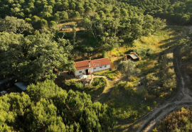 Private 8.5-Hectare Alentejo Retreat – Ideal for Sustainable Living, Tourism, or Community near Cercal