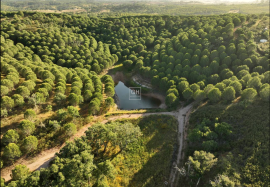 Private 8.5-Hectare Alentejo Retreat – Ideal for Sustainable Living, Tourism, or Community near Cercal