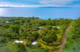 Vakanananu Retreat For Sale in Matei Taveuni Island