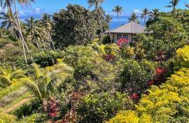 Vakanananu Retreat For Sale in Matei Taveuni Island