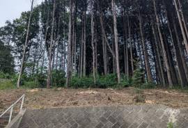 Excellent Plot of land for sale in Sakura