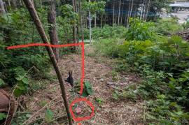 Excellent Plot of land for sale in Sakura