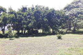 Excellent Plot of land for sale in Piedades Costa