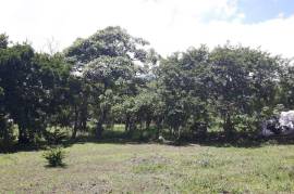 Excellent Plot of land for sale in Piedades Costa