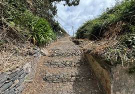 Land with 610 square meters located in Fajã da Ovelha - Calheta with excellent sea views! Land with 610 square meters located in Fajã da Ovelha - Calheta with excellent sea views!