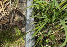 Land with 610 square meters located in Fajã da Ovelha - Calheta with excellent sea views! Land with 610 square meters located in Fajã da Ovelha - Calheta with excellent sea views!