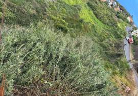 Land for Sale with Approved Project for 3 Bedroom Villa - Ribeira Brava - 1055 square meters Land for Sale with Approved Project for 3 Bedroom Villa - Ribeira Brava - 1055 square meters