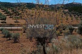 Detached 3 bedroom villa with garage - 18000 m2 of land with olive trees in Macedo de Cavaleiros