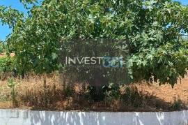 Detached 3 bedroom villa with garage - 18000 m2 of land with olive trees in Macedo de Cavaleiros