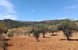 Detached 3 bedroom villa with garage - 18000 m2 of land with olive trees in Macedo de Cavaleiros