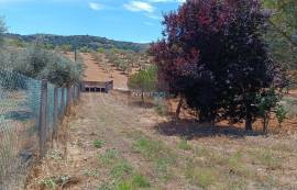 Detached 3 bedroom villa with garage - 18000 m2 of land with olive trees in Macedo de Cavaleiros