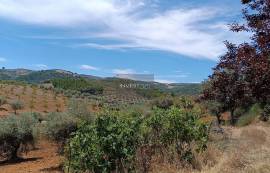 Detached 3 bedroom villa with garage - 18000 m2 of land with olive trees in Macedo de Cavaleiros