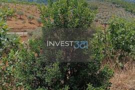 Detached 3 bedroom villa with garage - 18000 m2 of land with olive trees in Macedo de Cavaleiros