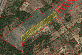 Land Santarém