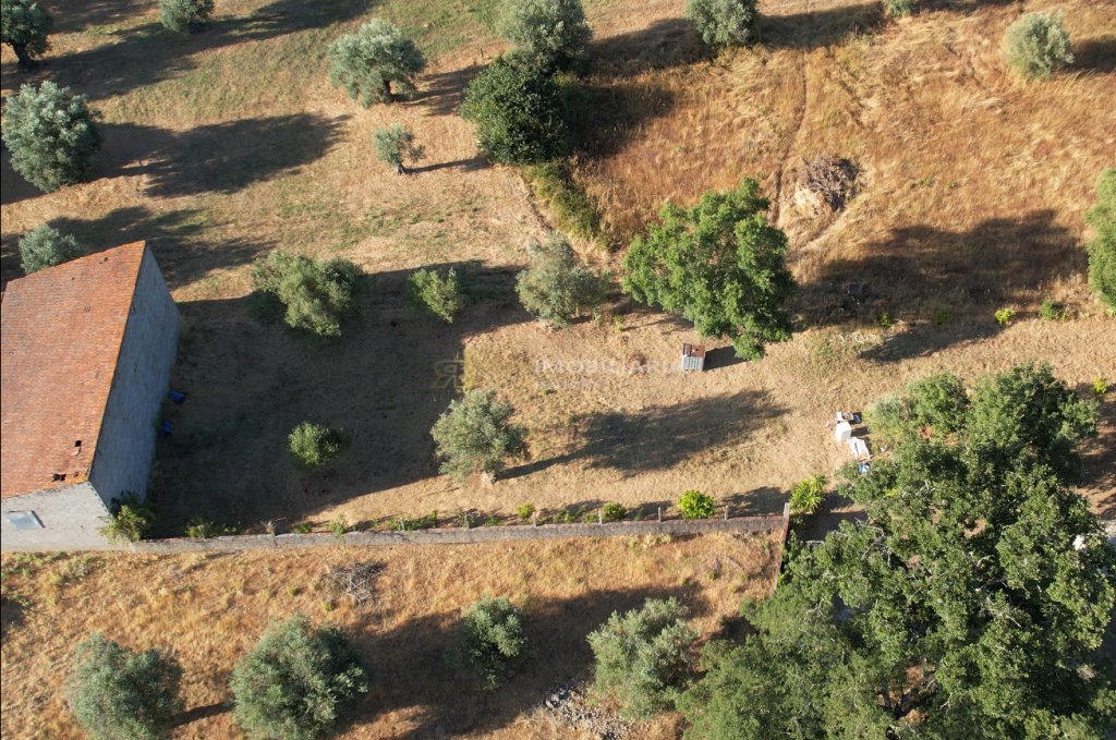 Rural land Santarém