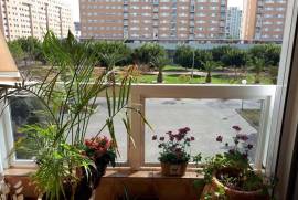 Beautiful Apartment in San Juan Playa
