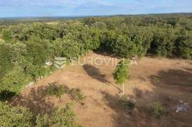 Istria, Tinjan, Building land NKP 3623 m2