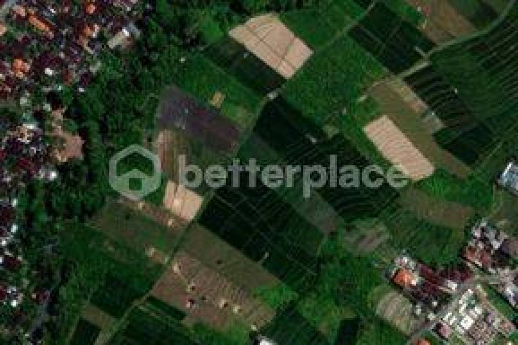 Nature Backed 675 Sqm Land in Tumbak Bayuh with Unique Villa Project – 10 Minutes to Pererenan Beach