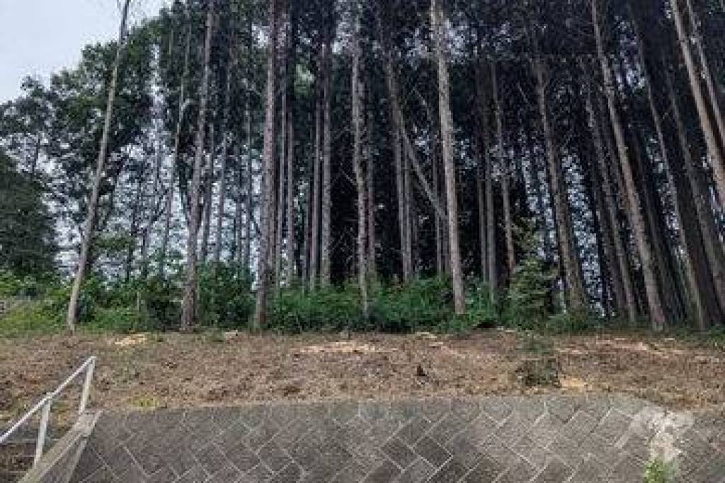 Excellent Plot of land for sale in Sakura