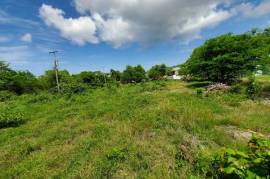 Land at Aron Vale