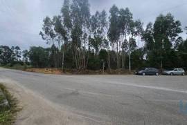 Terreno em Loureiro de 8130,00 m²