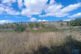 Terreno Agrícola em Azinhoso de 2874,00 m²