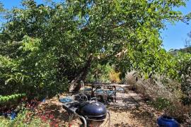 Charming Old Winegrower's House With 170 M2 Living Space And A 225 M2 Garden.