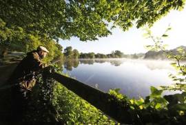 For Sale, House, Gite, Barn and Lake - Abzac in the Charente