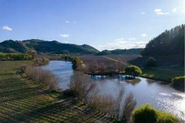 Magnifique domaine viticole de 343 ha à Maule, au Chili.