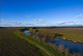 Magnifique domaine viticole de 343 ha à Maule, au Chili.