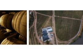 Magnifique domaine viticole de 343 ha à Maule, au Chili.