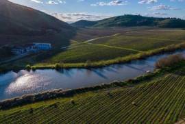 Magnifique domaine viticole de 343 ha à Maule, au Chili.