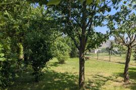 Detached House with Garden Detached House with Garden