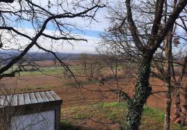 Property For Sale