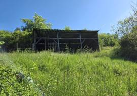 Property For Sale