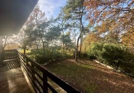 Fantastic Detached Chalet in Mature Grounds