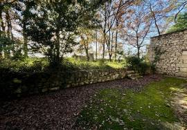 Fantastic Detached Chalet in Mature Grounds