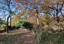 Fantastic Detached Chalet in Mature Grounds