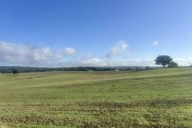 Farm House and Many Outbuildings