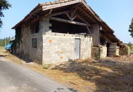 Property For Sale
