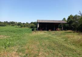 Barn to Renovate and Develop with CU in Place
