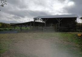 Property For Sale