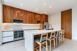 Numandi Residences Phase 1: Sustainable Luxury Homes in Playa Avellanas, Costa Rica!
