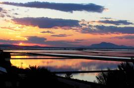NEW BUILD APARTMENTS IN GRAN ALACANT