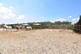 FANTASTIC EQUESTRIAN FACILITY IN LA MARINA, COSTA BLANCA