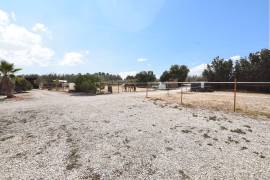 FANTASTIC EQUESTRIAN FACILITY IN LA MARINA, COSTA BLANCA