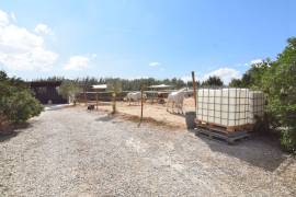 FANTASTIC EQUESTRIAN FACILITY IN LA MARINA, COSTA BLANCA