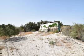 FANTASTIC EQUESTRIAN FACILITY IN LA MARINA, COSTA BLANCA