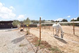 FANTASTIC EQUESTRIAN FACILITY IN LA MARINA, COSTA BLANCA